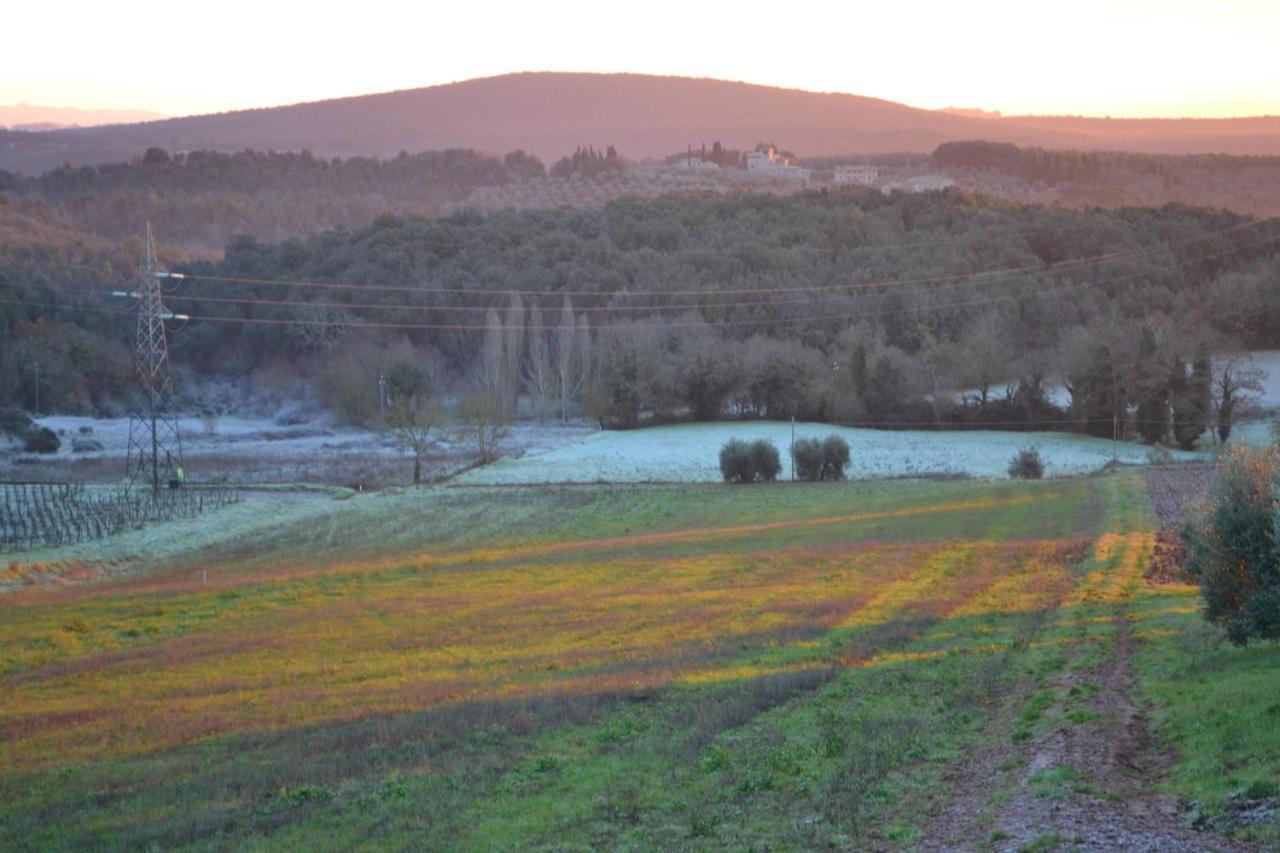 Podere Ficareto Farm Ancaiano Exterior foto